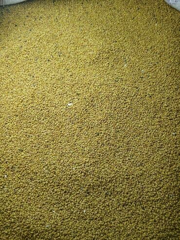 мёд цена бишкек: Уруктар тоют өсүмдүктөрүнүн: Беде, Өзү алып кетүү — 3