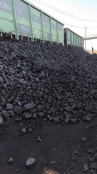 домашние птицы: Уголь.Песок,отсев, камень,глина,по — 9