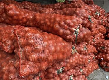 оптом эт: Лук Оптом — 1