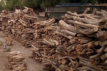 Дрова: Дрова — 1