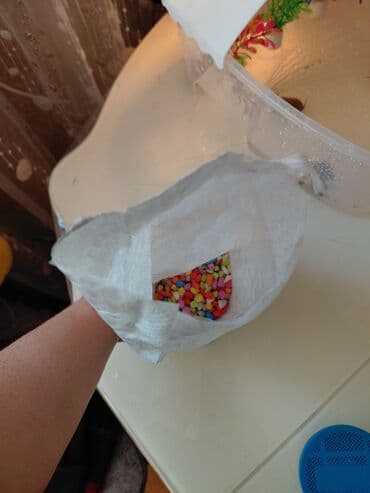 золотистый ретривер: Продаю четырех водных черепах. две девочки и два мальчика. Два вида — 5