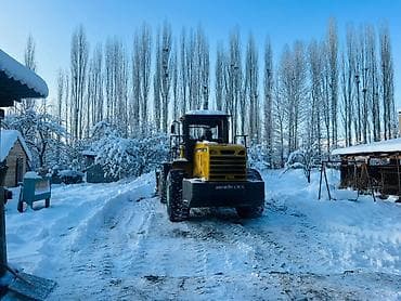 фронтальный кун: Погрузчик, LiuGong, 2010 г., Колесный, Ковшовый — 2