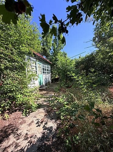 4 соток, Тех паспорт, Договор купли-продажи