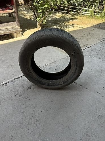 зимний резины: Автомобильная шина 205/60 R16 - Бескамерная (Tubeless) - Направленный — 1