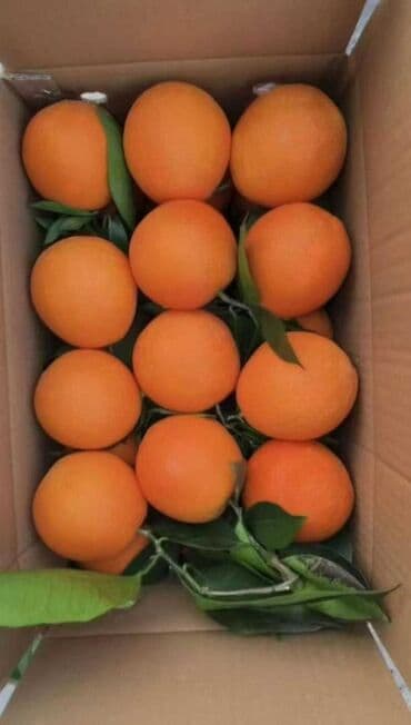 сколько стоит букет из мандаринов: Мандариндер Дүңүнөн, Өзү алып кетүү — 1