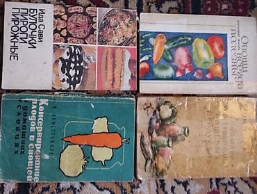 Книги и журналы: Подборка советских и постсоветских книг разной тематики. Состав лота — 2