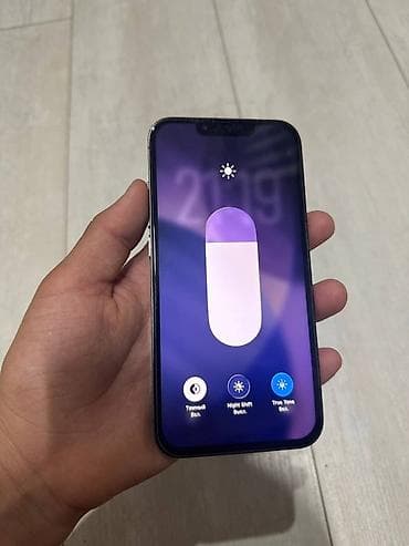 ipone 16 pro max: IPhone 13 Pro, 256 ГБ, Серебристый, Чехол, 100 % — 3