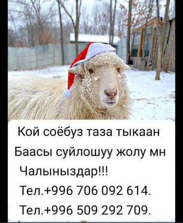 набор инструментов универсальный: Резка, Ручная резка — 1