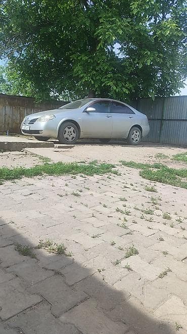 продаю спринтер автомат: Nissan Primera: 2003 г., 1.8 л, Автомат, Бензин, Седан — 4