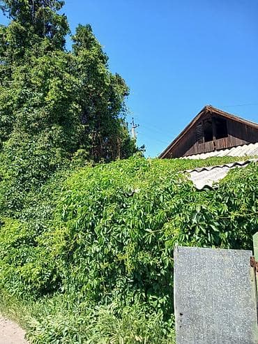 кизыл кия: Продаю полдома, 4ком. участок 4сот. район Сокулукский,с. Кожомкул,ул — 2