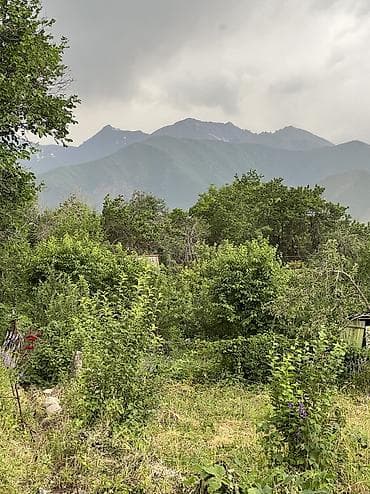 кок жар ж м: 3 соток, Курулуш, Кызыл китеп, Сатып алуу-сатуу келишими — 4