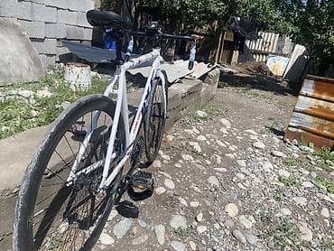 single speed: Шоссейный велосипед, Рама S (145 - 165 см), Б/у — 2