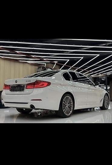 BMW: BMW 5 series: 2019 г., 2 л, Автомат, Бензин, Седан — 3