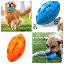 ошейник для собак бишкек: Продаю новые строгие ошейники в двух моделях,а так же большой выбор — 20