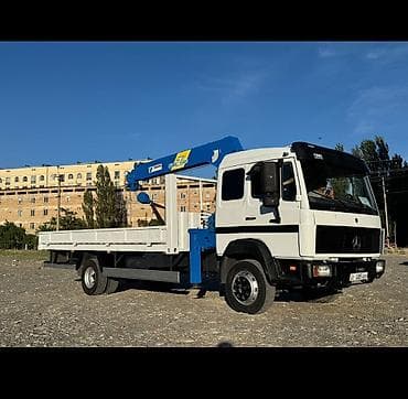 124 рычаг: Манипулятор, Mercedes-Benz, 1996 г., 5 т — 5