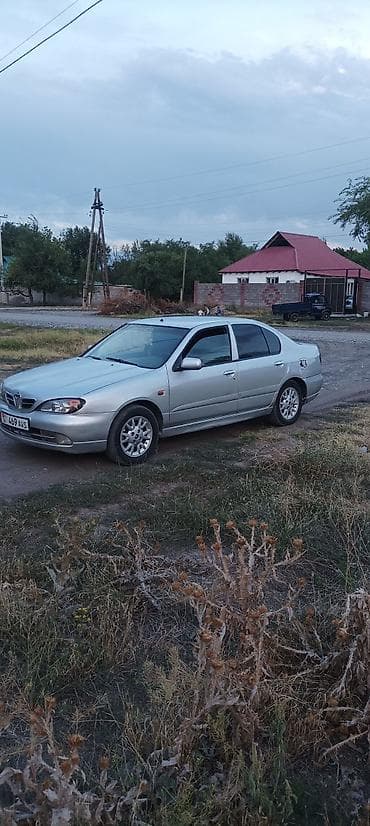 горить: Nissan Primera: 2001 г., Седан — 3