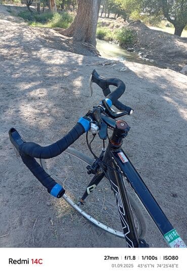 шины 18 235 60: Шоссейный велосипед, Рама M (156 - 178 см) — 3