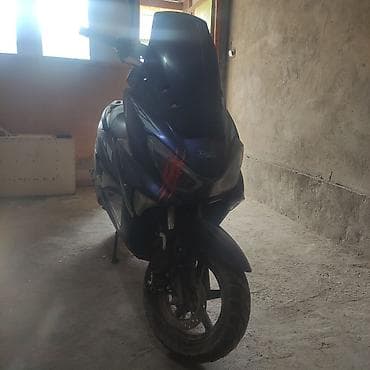 скутер нарын: Скутер/максискутер X-level (надпись на передней панели), тёмно‑синего — 1