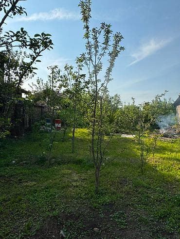 недвижимость в иссык куле: 🌿 ПРОДАЁТСЯ ДАЧА С УЧАСТКОМ В БАЙТИКЕ 🏡 📍 Чуйская область — 6
