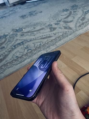 IPhone 12 Pro Max, Графит, Чехол