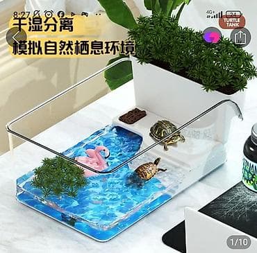 Аквариумы: Прозрачный террариум-акватеррариум для водных черепах - Экологичная — 1
