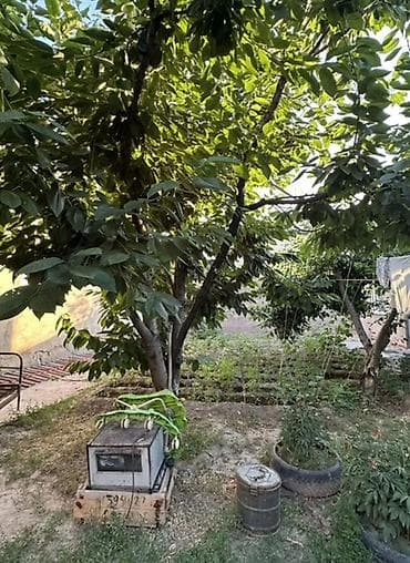 3: 🏡 Срочно продаётся уютный дом в ж/м Ак-Ордо-1!. 📍 Район: Ак-Ордо-1 — 6