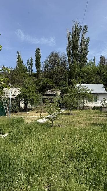 Дачный участок с домом и садом ‼️Район Супары - Просторный зеленый