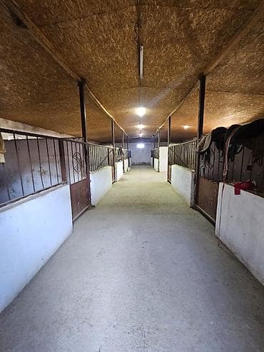 аренда берем: Кошара, 21 соток, Действующий, Отопление, Холодная вода, Электричество — 1