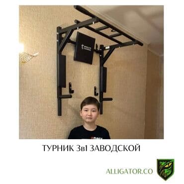 турник настенные потолочные: Турник, 3 в 1, Настенный, Новый, Самовывоз, Платная доставка — 1