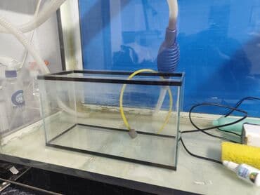 аквариум: Просторный аквариум панорамного типа с чёрной рамой. - Прямоугольная — 8