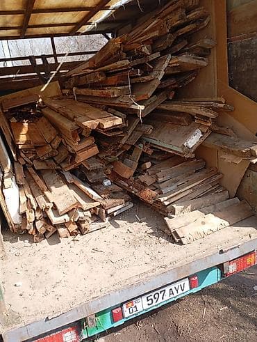 Тегерек жыгачтар: Ийне жалбырак — 7