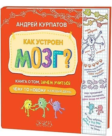 Китептер: Серия «Академия смысла для детей» создана Андреем Курпатовым — 1