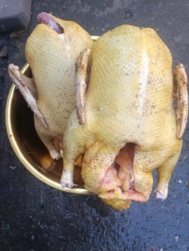 тушки кролика: Жыпарөрдөк  — 1