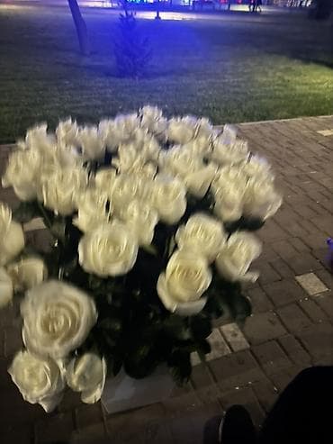 Букет из белых роз в коробке - Классическая композиция из белых роз с