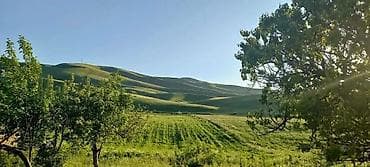 с озерное: 12 соток, Красная книга — 1