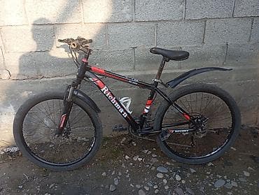 Горный велосипед, Alton, Рама XL (180 - 195 см), Сталь, Б/у