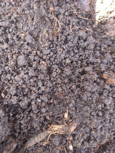 удобрение гумин: Чёрнозём для газона почва для теплиц сад зил камаз — 1