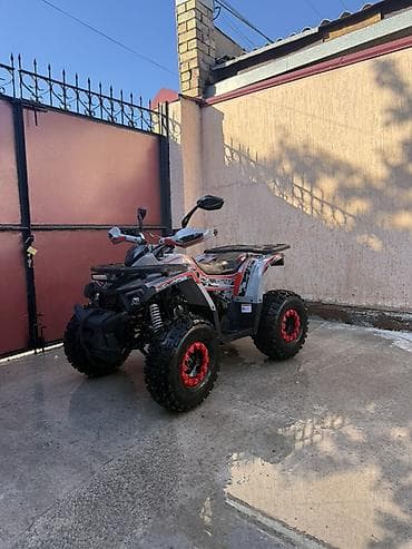 квадроциклы купить: Квадроцикл Бензин, 140 куб. см, Взрослый — 1