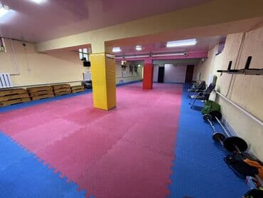 сдаю подвальное помещение: Дом, 250 м², 8 комнат, Собственник, Евроремонт — 18