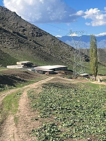 продаю дом бишкек кызыл аскер: Продаётся пастбищно-фермерский участок в горной местности с готовой — 1