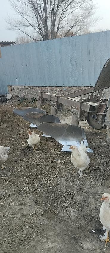 Модель: 82, Б/у, 1986 г., Трактор с другими агрегатами — 8