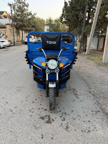 мото квадрацикл: Мотороллер муравей Электро, 60 км, 1000 - 1499 кг, Б/у — 2