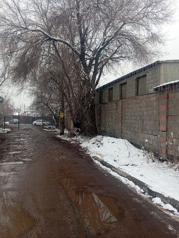 шоу рум: Сдаётся помещение под бизнес, площадь 110 м квадрат Щербакова. вход — 5