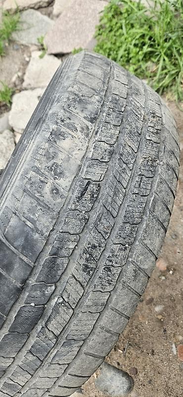 v klass: Шины 235 / 65 / R 18, Всесезонная, 1 шт, Внедорожные (АТ/МТ), Pirelli — 5