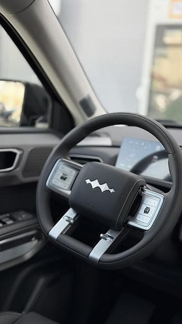л 9: BYD FangChengBao Leopard 3: 2026 г., Автомат, Электромобиль, Кроссовер — 9