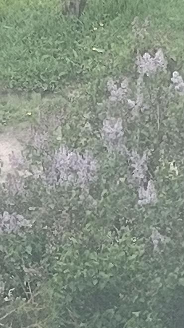 с озерное: 1 комната, 27 м² — 1