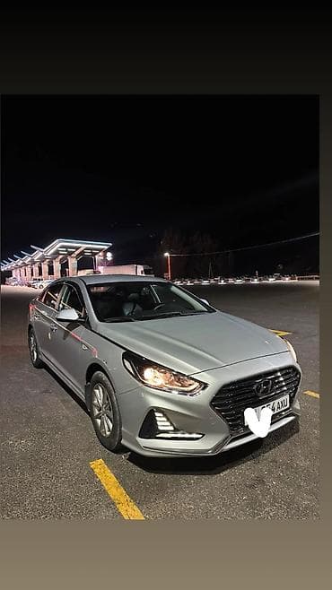 суппорт задний: Hyundai Sonata: 2019 г., 2 л, Автомат, Газ, Седан — 1