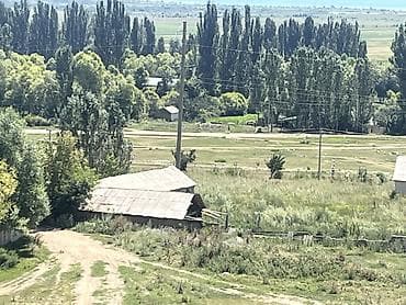 Кыймылсыз мүлк: 70 соток, Кызыл китеп — 4