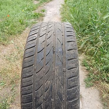 Шиналар жана дисктер: Шиналар 205 / 55 / R 16, Жай, Колдонулган, Жуп, Жеңил унаалар, MATADOR — 1