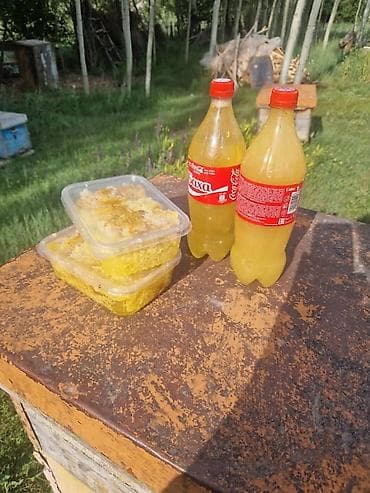 салют цена бишкек: Мёд с пасеки и соты - Натуральный пчелиный продукт из собственной — 1